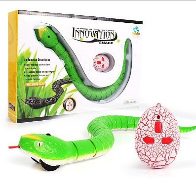 RC Rattlesnake & Insect Toy Sets